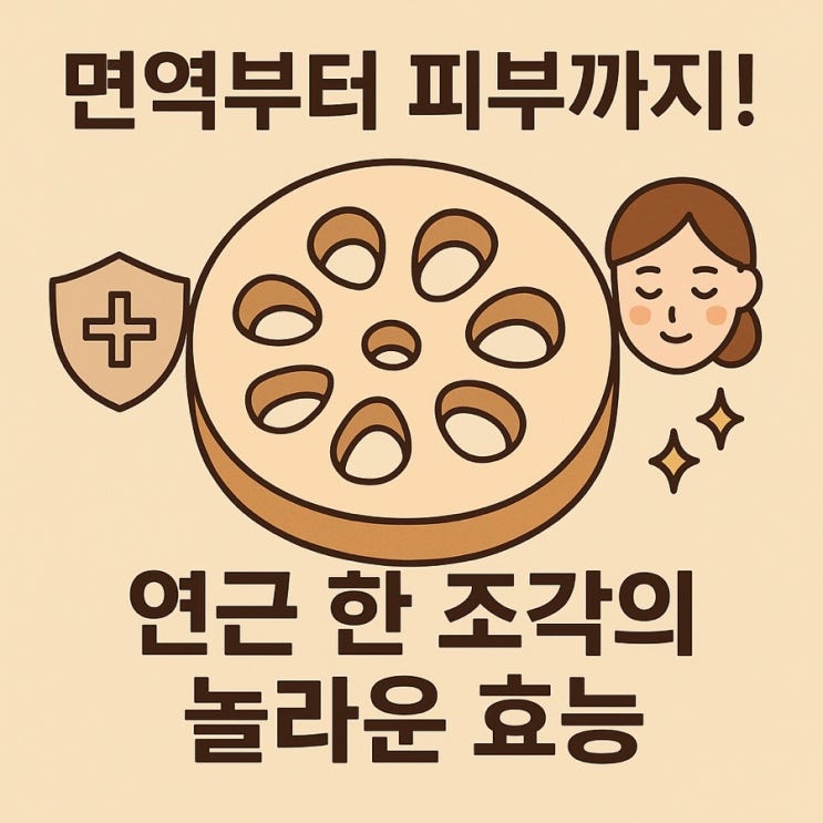   아삭한 뿌리의 건강 비밀! 연근 효능 완전 정리