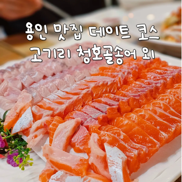  용인 고기리 계곡 맛집 데이트 드라이브 코스 청호골송어 로스텔라
