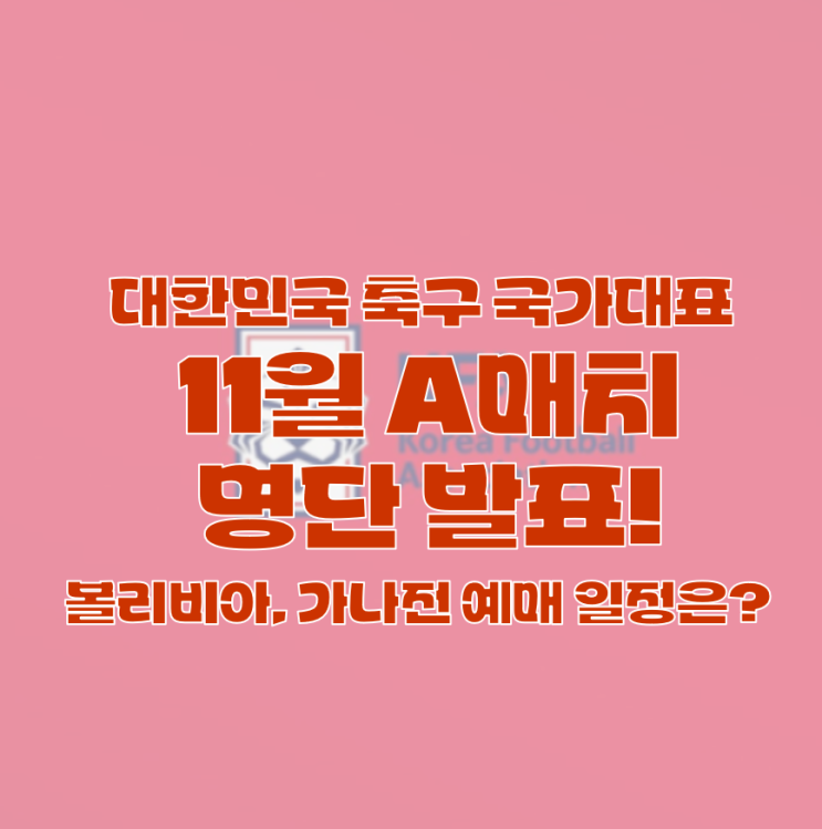 대한민국 <b>축구 국가대표팀</b> 11월 A매치 평가전 <b>볼리비아</b>... 