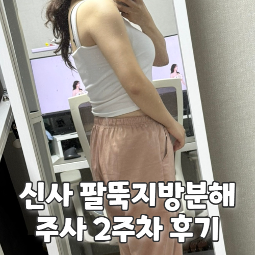  신사 팔뚝지방분해주사 가격 내돈내산 2주차 후기