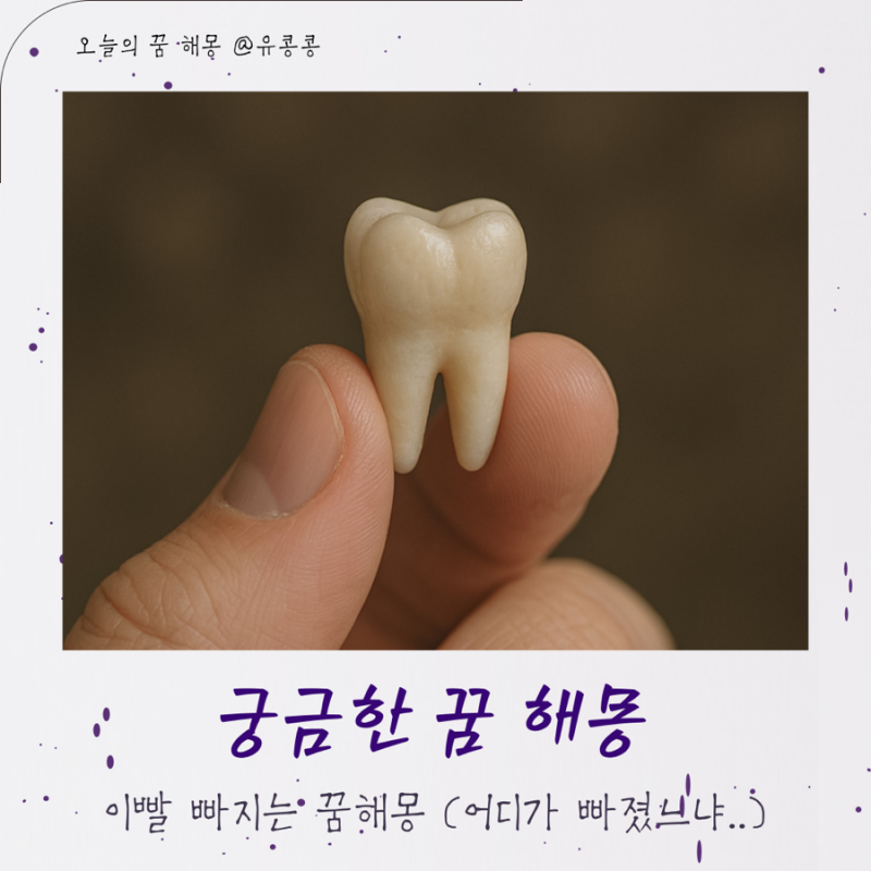 이빨 하나 빠지는 꿈 이빨빠지는꿈 해몽 풀이