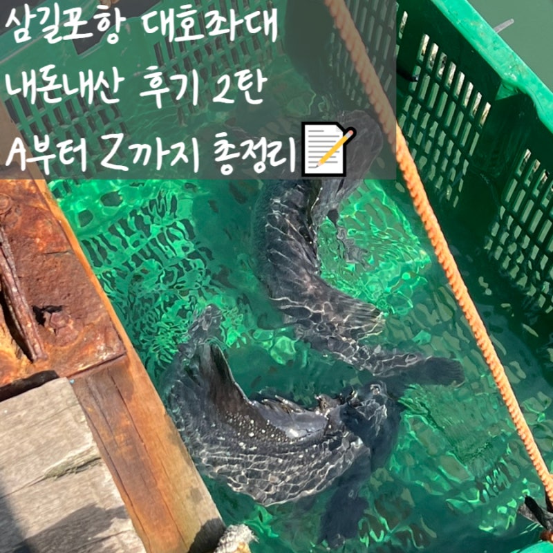 | 삼길포항 대호좌대 낚시 정보 총정리 | 시설·요금·준비물 한눈에 보기