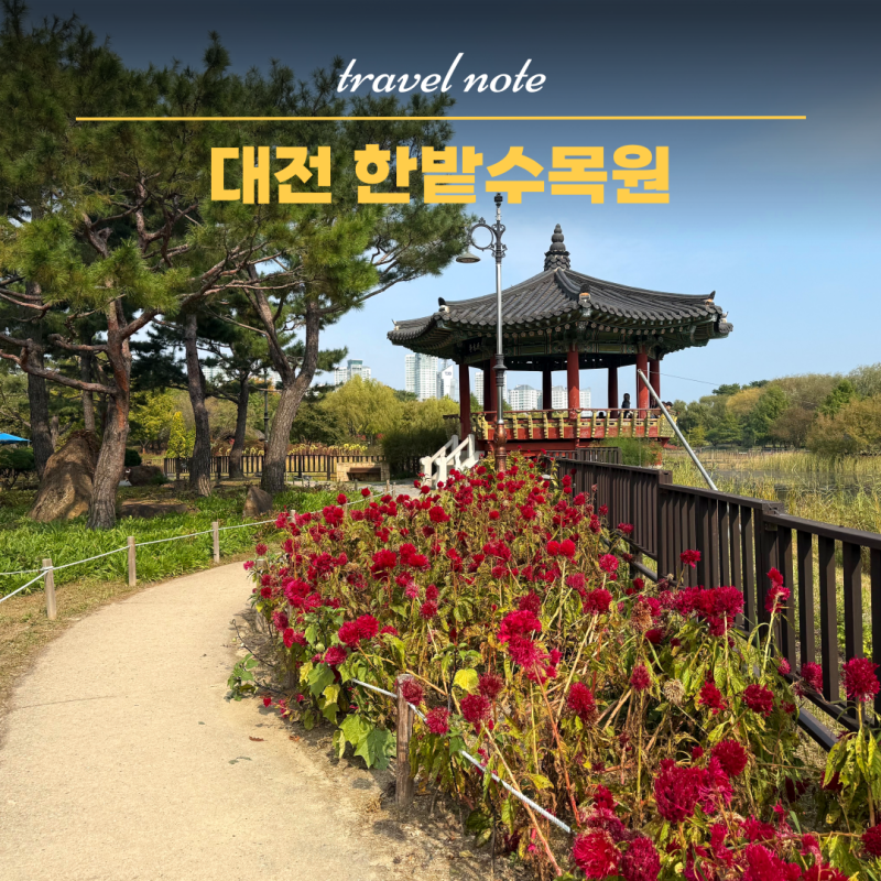 대전 한밭수목원 피크닉 단풍절정시기 주차장