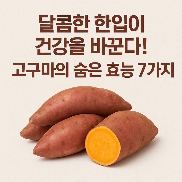   하루 한 개면 충분! 고구마가 몸에 좋은 이유 7가지