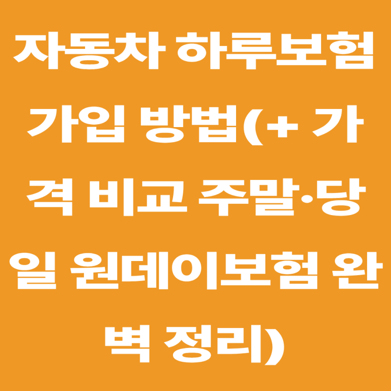 자동차 하루보험 가입 방법부터 가격 비교 주말·당일 원데이보험 완벽 정리