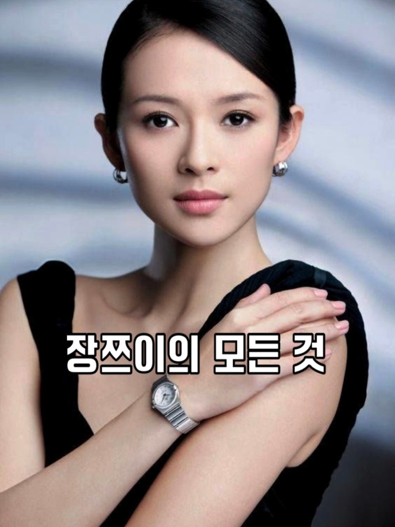 장쯔이 영화 필모그래피 총정리, 와호장룡 이혼 차기작 정보