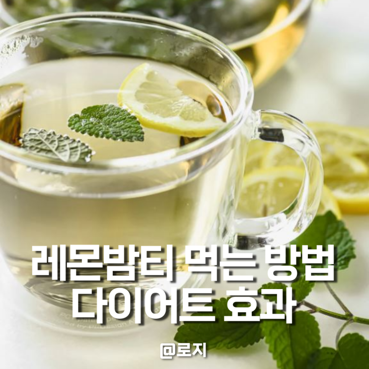  체지방 내장지방 빼는법 레몬밤티 효능과 다이어트 효과 먹는법 키우는법 총정리