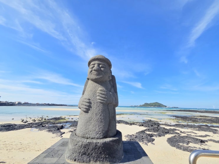  제주도 여행 2일차 ️