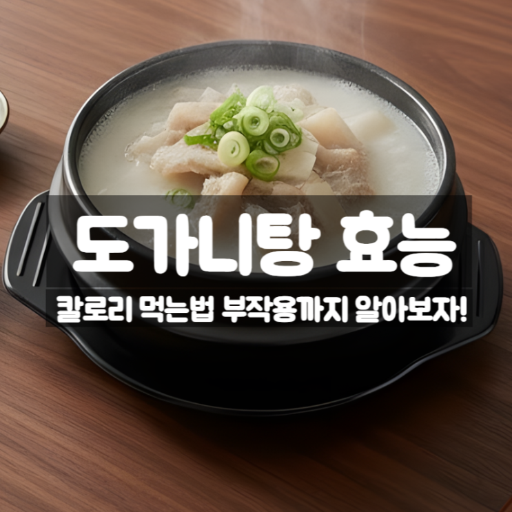  도가니탕 효능 칼로리 먹는법 부작용 - 도가니 우족 차이점까지