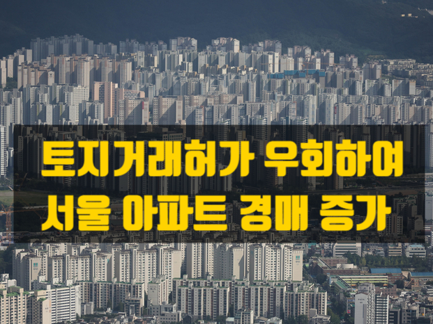  서울 전지역 토지거래허가구역 지정 이후 경매시장으로 돈이 몰린다? 2025년 하반기 경매시장 과열의 배경