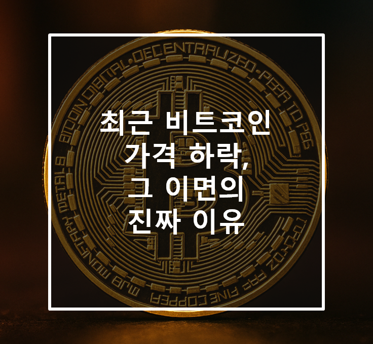 최근 비트코인 가격 하락, 그 이면의 진짜 이유