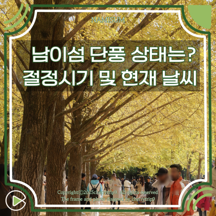  남이섬 가을 날씨와 현재 단풍상태 시기 주차장 상황