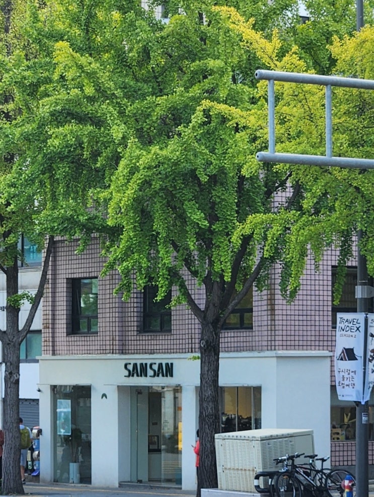  서촌 빵집 산산 베이커리 솔직 후기｜빵 먹으러 갔다가 카공 천국 발견?!