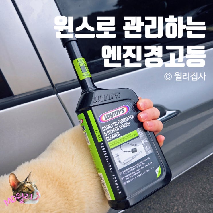  엔진 경고등 자동차 촉매 산소센서 경고등 관리 연료첨가제 윈스 가솔린 람다센서 클리너