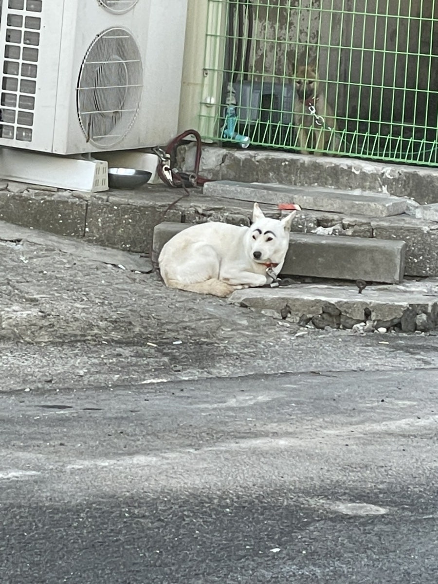 나무이야기 남원점 사진 2