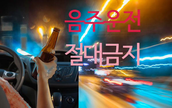 사거리 횡단보도 <b>일본인 모녀</b>한테 돌진해서  50대 어머니 <b>사망</b>