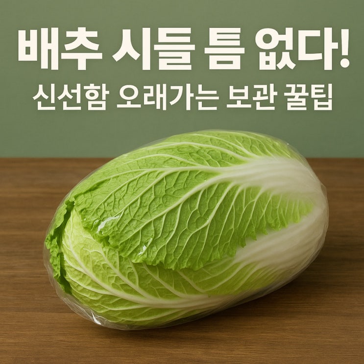  배추 보관법 총정리! 싱싱함을 오래 유지하는 비결