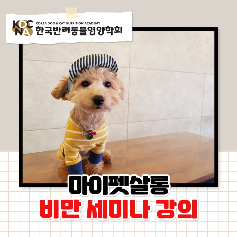 마이펫살롱