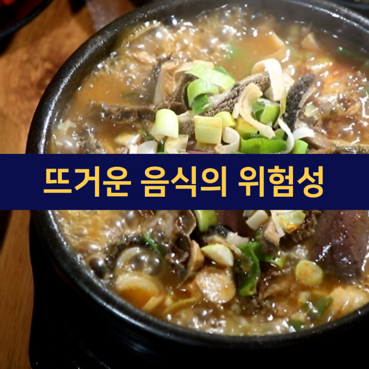  뜨거운 음식 위험성 | 식도 잇몸 구강 치통 | 영양소 파괴