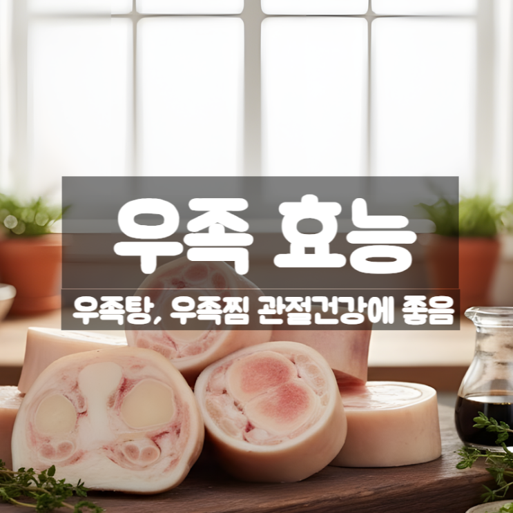  우족 효능 부작용 먹는법 - 우족탕 우족찜 편육으로 챙기는 관절 건강