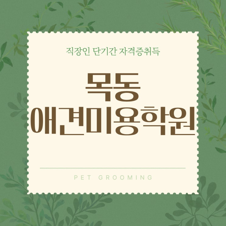  목동애견미용학원, 직장인도 단기 취득 가능한 애견미용 전문 교육