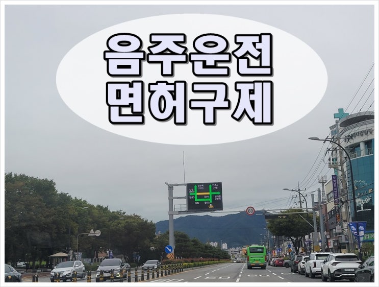  칠곡 음주운전 행정사 면허 전문가의 역할