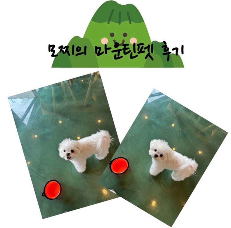 사진 3