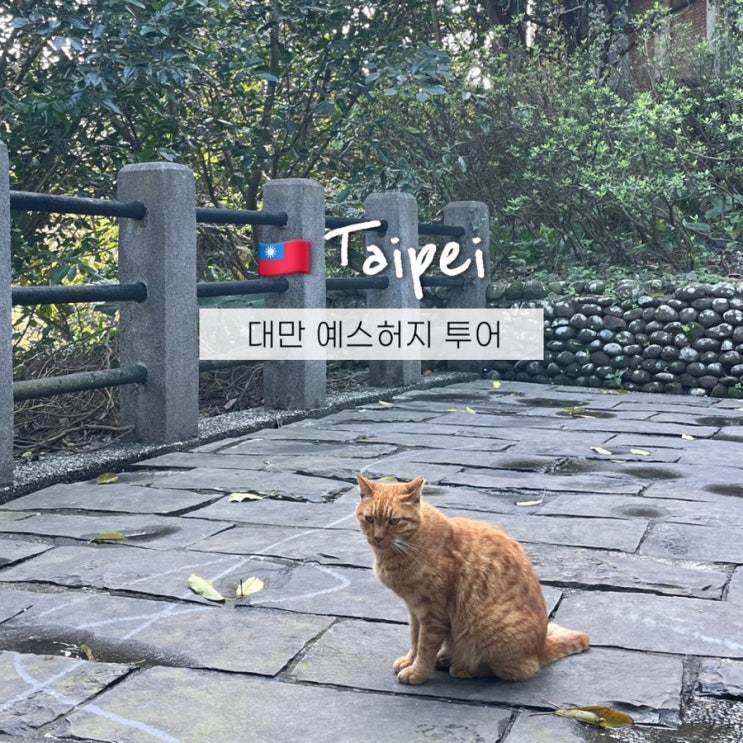  대만 예스허지 버스vs택시투어 비교후기와 할인쿠폰 정보