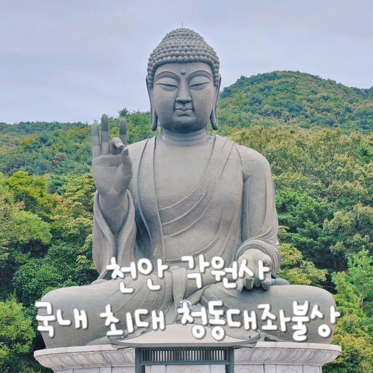  전국 유명 사찰 국내 최대 청동대좌불상이 있는 천안 절 각원사