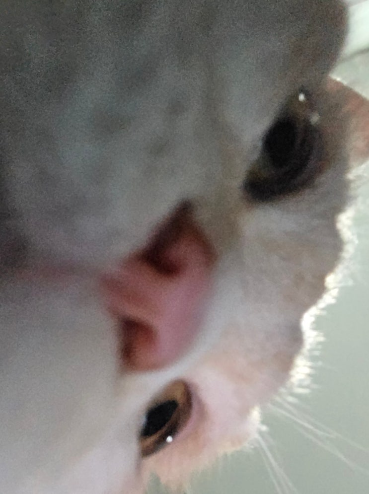  10월의 어느 멋진 날에(오랜만에 오픈매트, 심숭생숭)