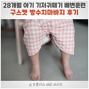 두돌 28개월아기 기저귀떼기 배변훈련팬티 방수요- 구스켓 방수치마바지 내돈내산 후기