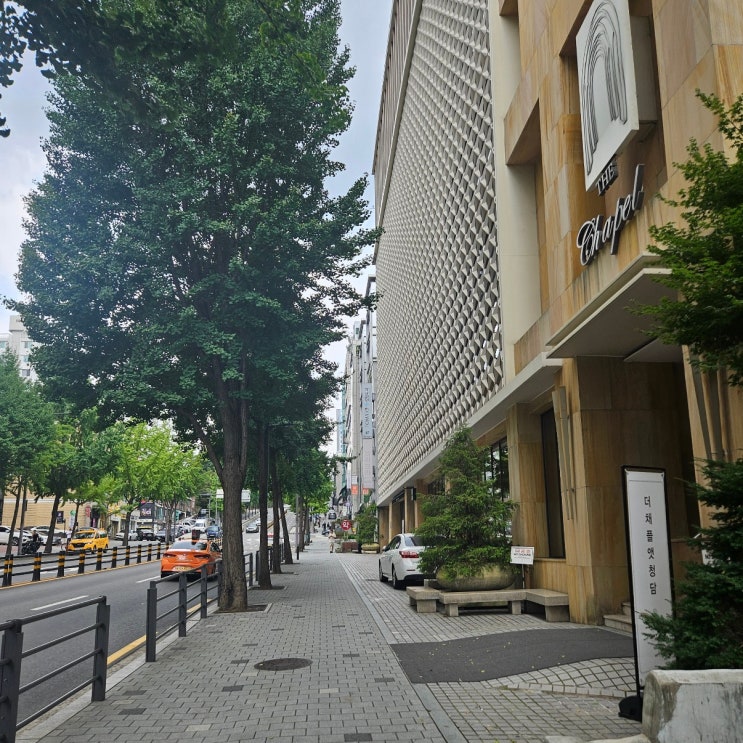  더채플앳청담 커티지홀 본식스냅 베뉴 웨딩홀 후기,채플홀 예식, 당일계약, 예식 당일분위기  본식후기