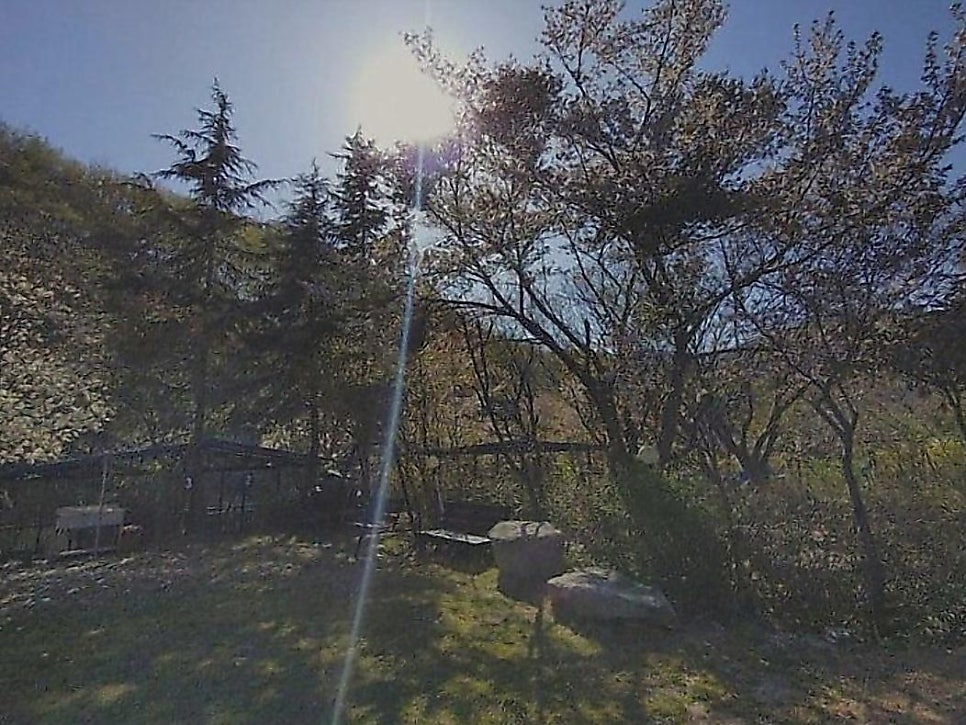 숲속의펜션 사진 2