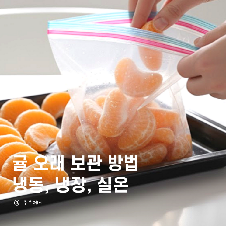  귤보관 방법 냉동 냉장 실온 싹 정리했으니 오래 드세요