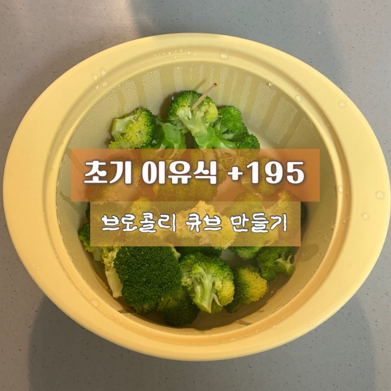 초기이유식+195d | 퍼기 찜기로 브로콜리 큐브 만들기/리노베라 칼슘파우더/브로콜리 세척 방....