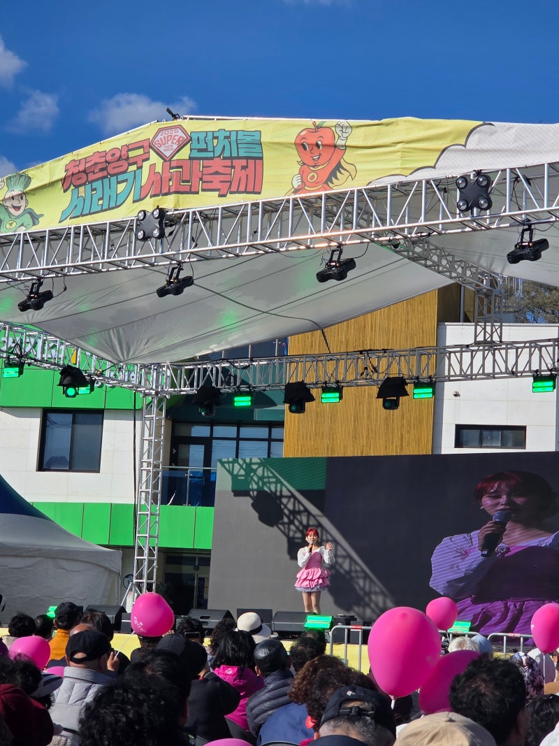 강원도여행 양구 펀치볼 시래기사과축제