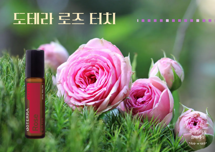  피부를 넘어 마음까지 치유하는 향기 도테라 로즈터치 오일의 효능과 활용레시피