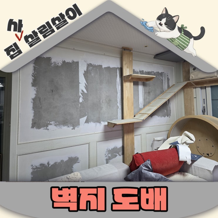  고양이 발톱에 살아남는 벽지 고르는 방법