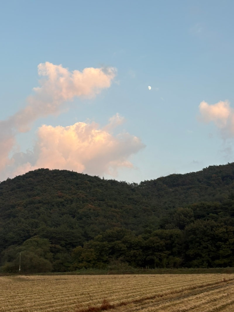 사진 3