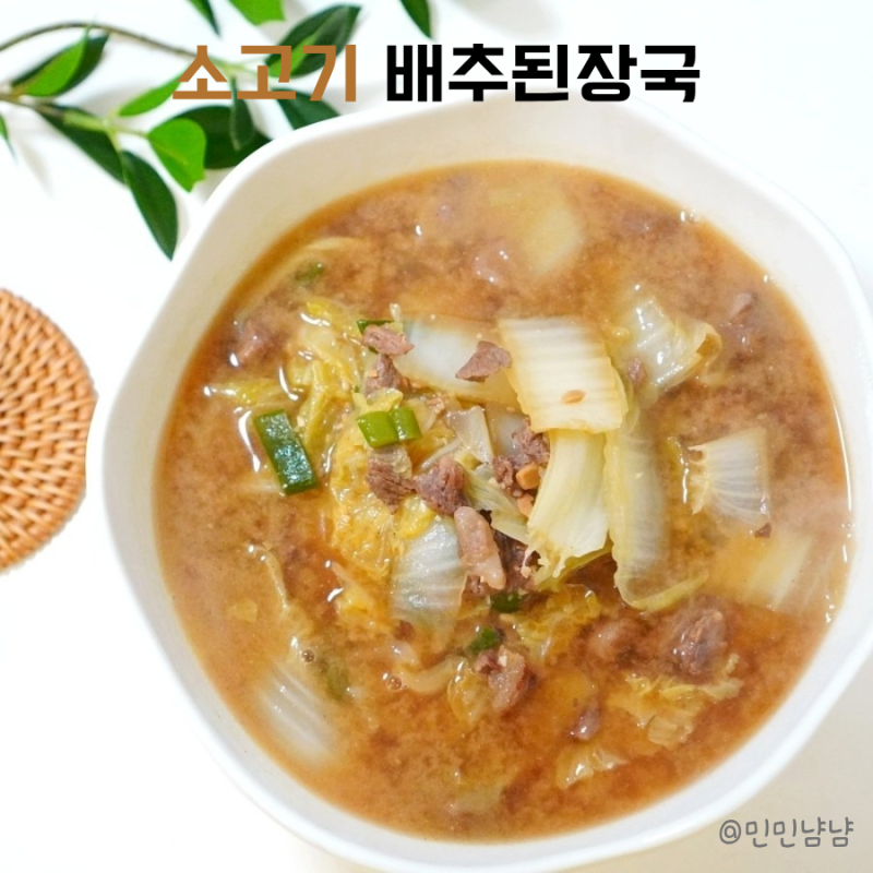 소고기배추된장국 끓이는법 소고기양지 요리 간단한국 레시피 알배추 된장국