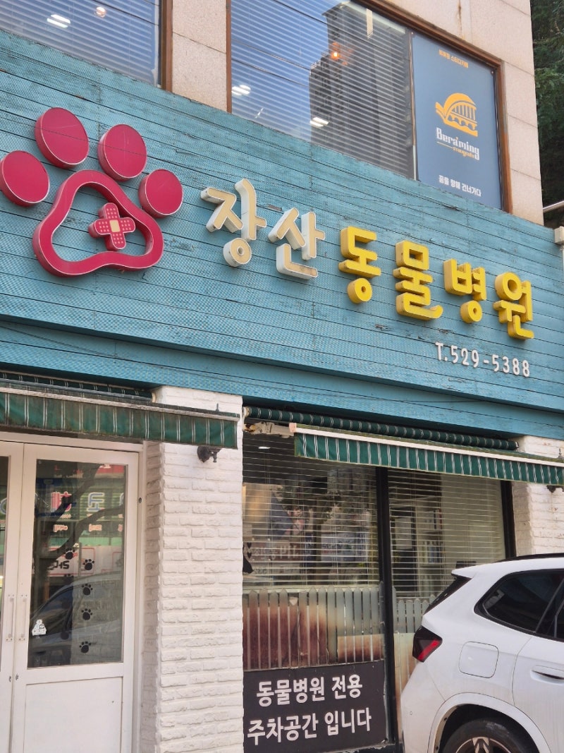 부산 반여동 애견미용 잘하는 곳 장산동물병원