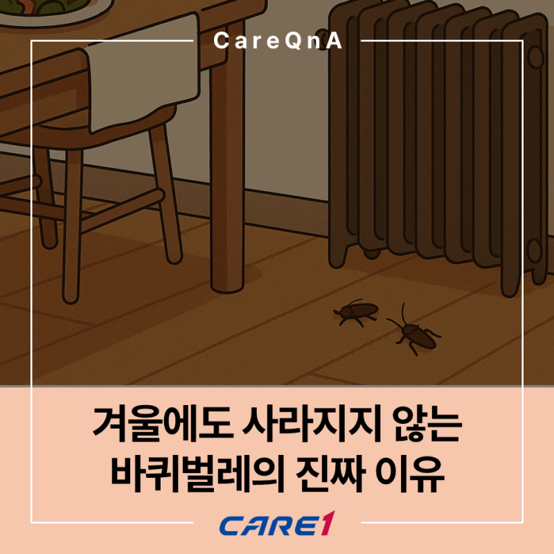겨울에도 사라지지 않는 바퀴벌레, 실내에서 번식이 더 빠른 이유