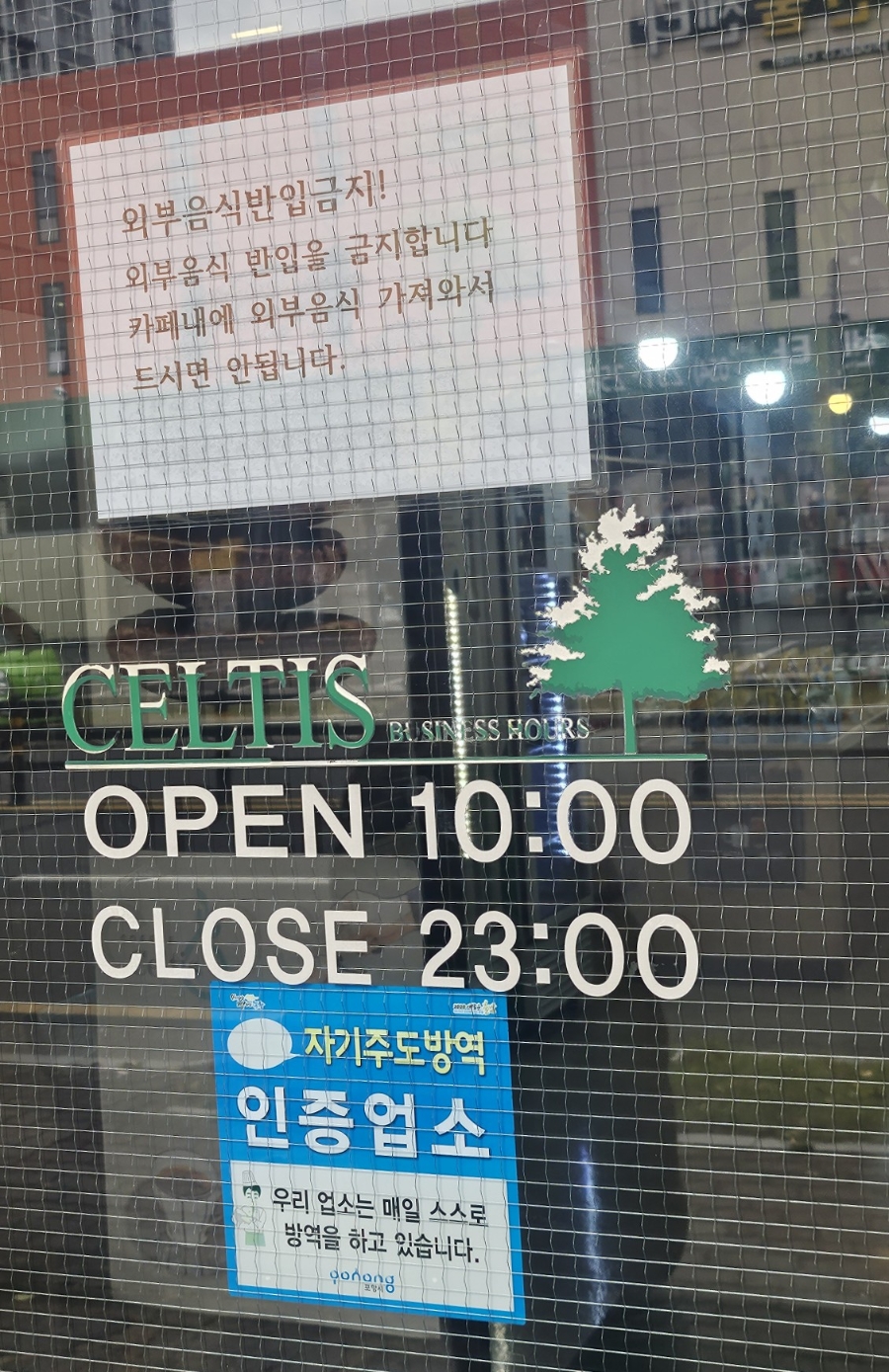 켈티스 사진 6