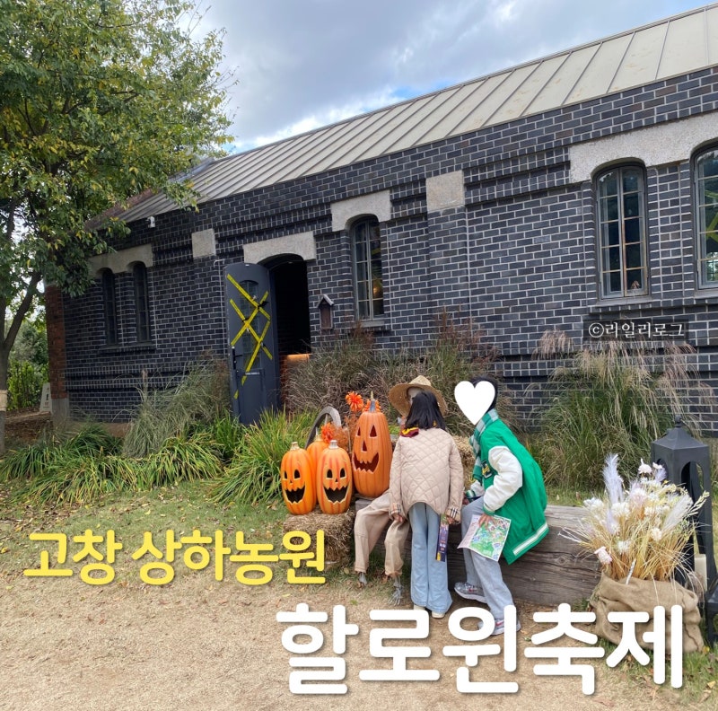 고창 상하농원 할로윈 마지막날 후기｜주차 먹거리 사전예약