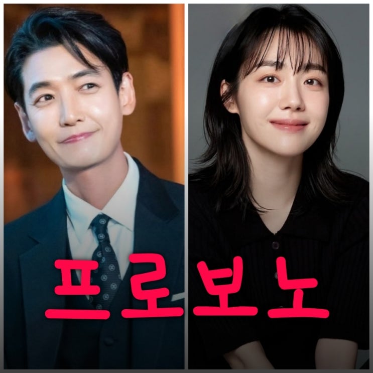 프로보노 뜻 드라마 출연진 등장인물 정보 tvN 태풍상사 후속
