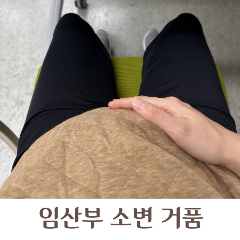 임산부 소변 거품 조금 있다면 거품뇨 총정리