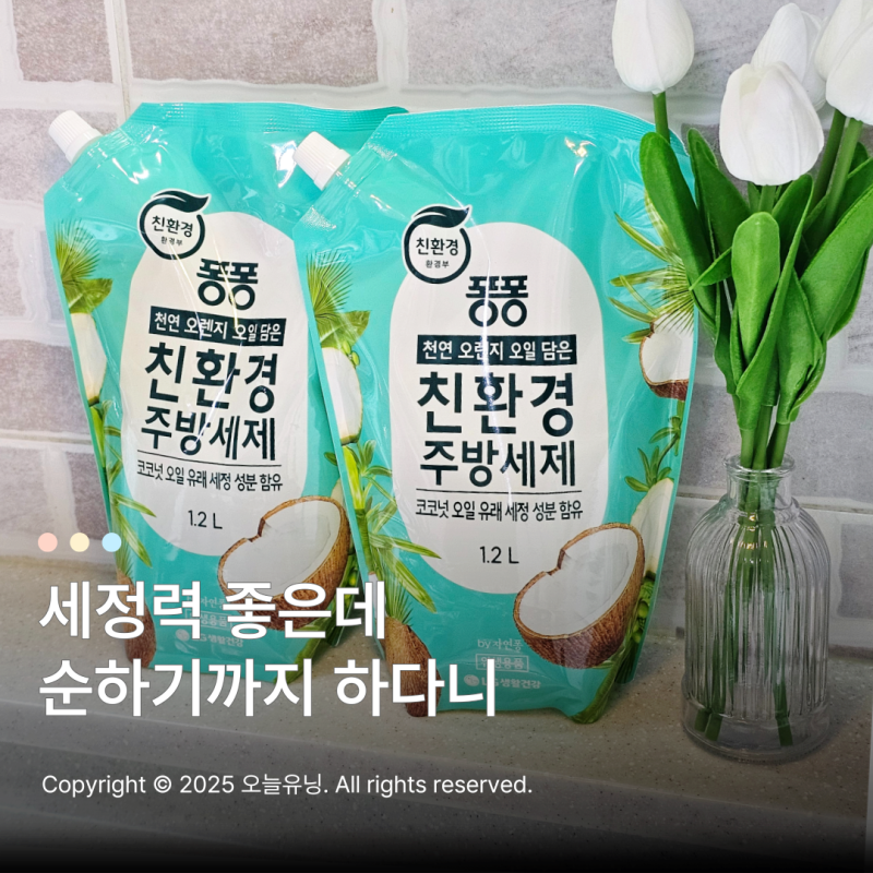 자연퐁 친환경 주방세제 코코넛 리필 가성비 최고인 이유 3가지