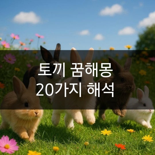 토끼꿈 해몽 귀인과 재물을 부르는 길몽 20가지