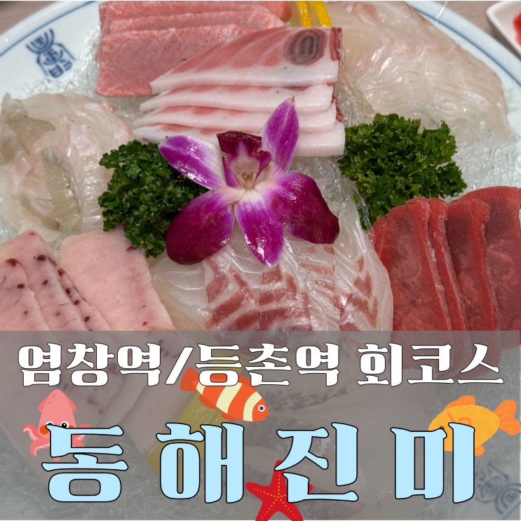  염창역 횟집 맛집 동해진미 목동본점 저녁정식 B코스, 신선함으로 꽉 찬 회정식 후기