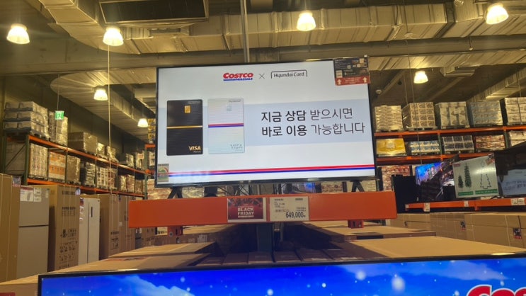  대전 코스트코 11월 둘째주 할인상품 3-9 세일 추천 상품 회원권 추천템 영업시간 정보